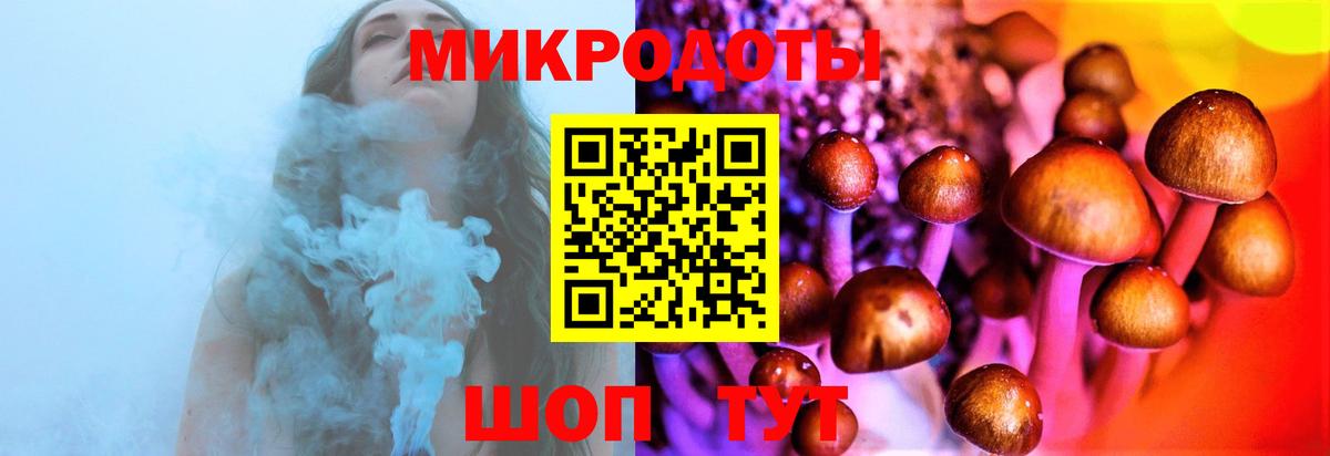 APVP Джанкой